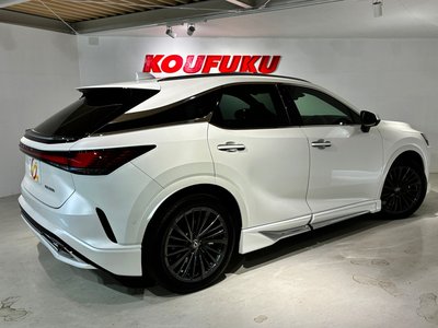 2024 Lexus RX 缩略图 16