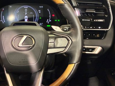2024 Lexus RX 缩略图 21