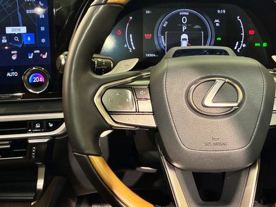 2024 Lexus RX 缩略图 20