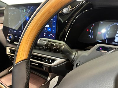 2024 Lexus RX 缩略图 22