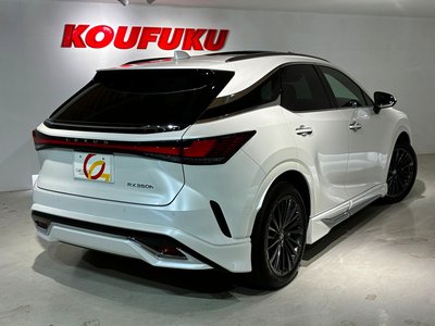 2024 Lexus RX 缩略图 14