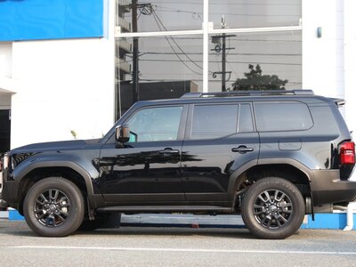 TOYOTA LAND CRUISER 250 - 6