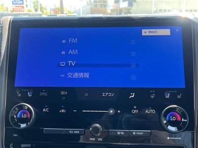 2025 Toyota ALPHARD 照片 10