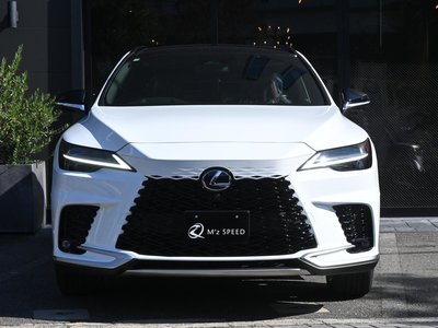 LEXUS RX - 9