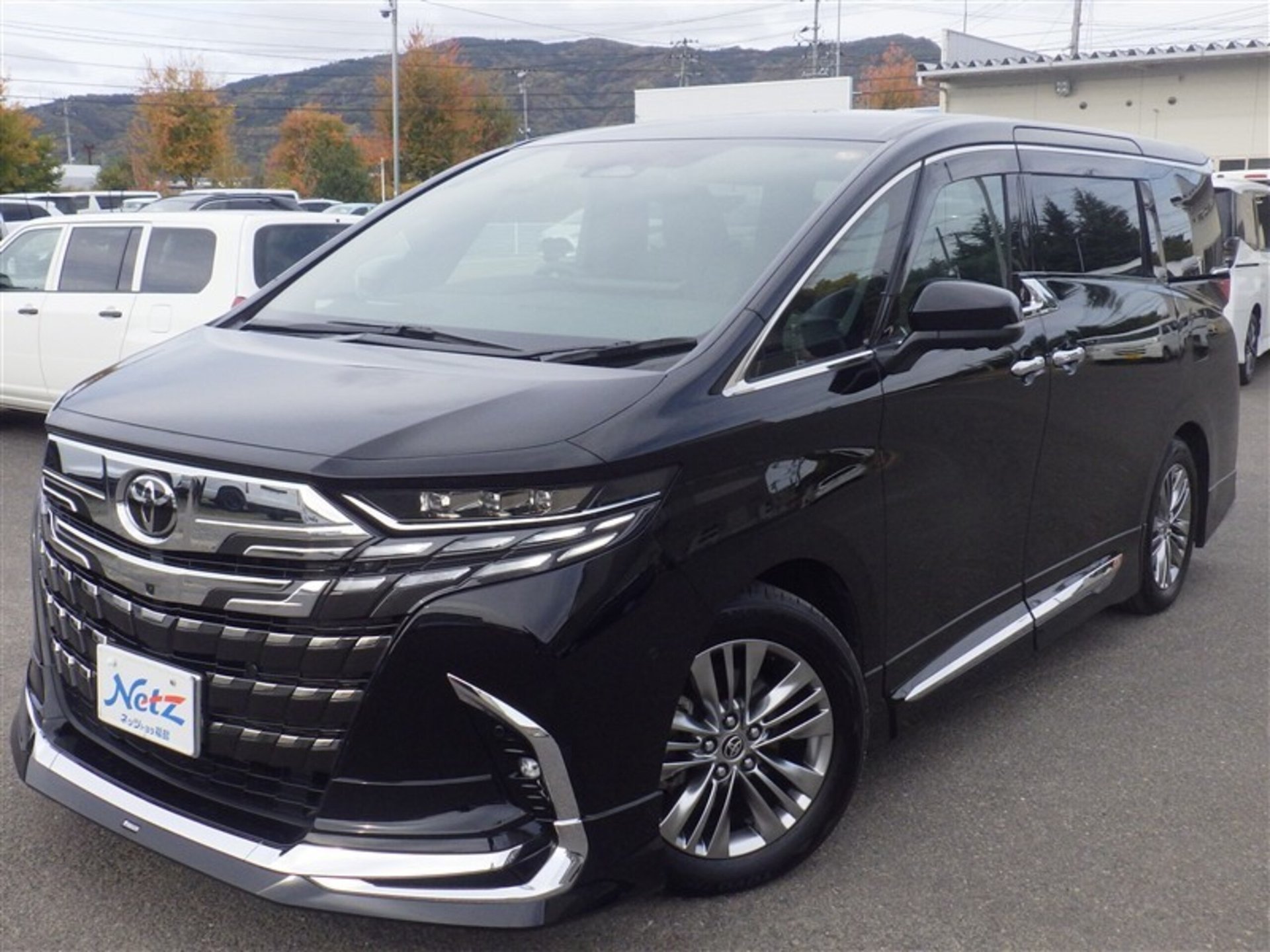 TOYOTA ALPHARD - View 1