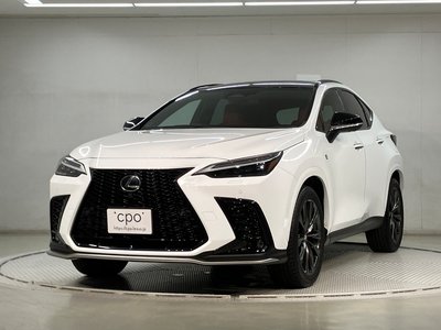 2023 Lexus NX — фото 1