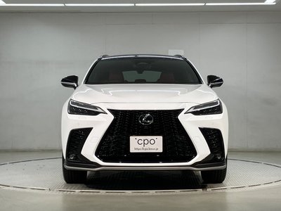 2023 Lexus NX — фото 2
