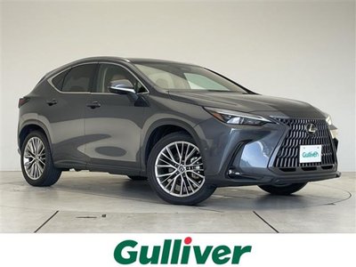 LEXUS NX - 1