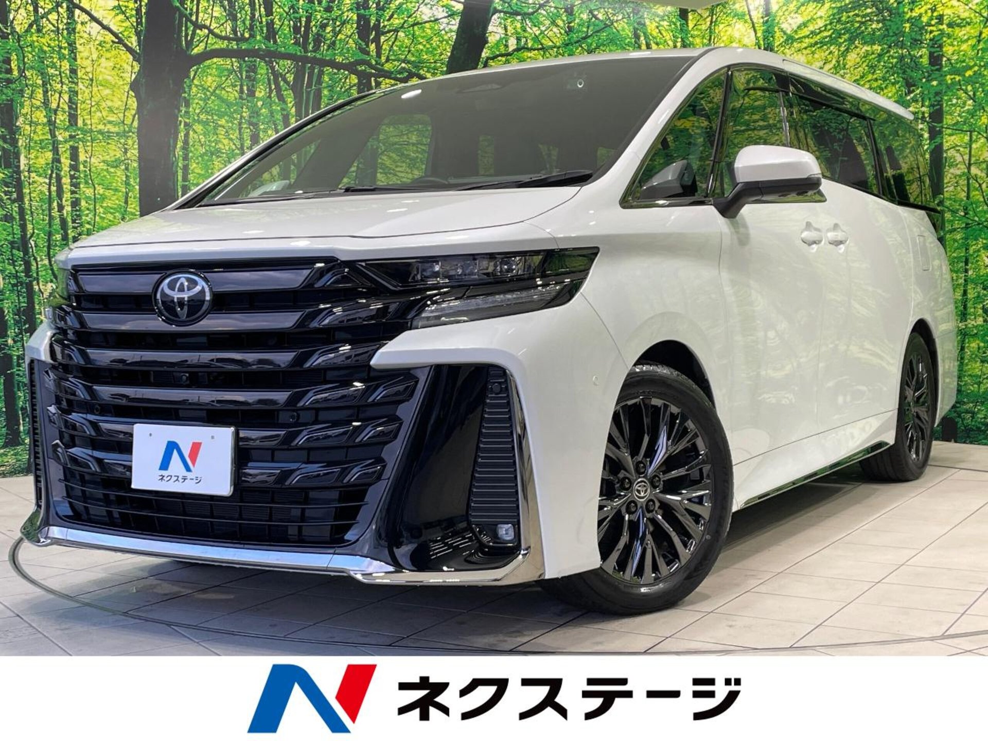 TOYOTA VELLFIRE - View 1