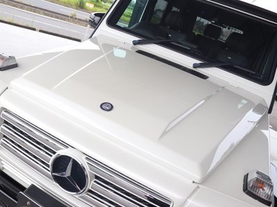 2015 Mercedes-BENZ G-CLASS 缩略图 19