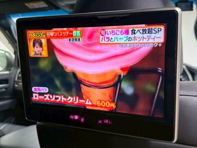 TOYOTA LAND CRUISER 200 - 10