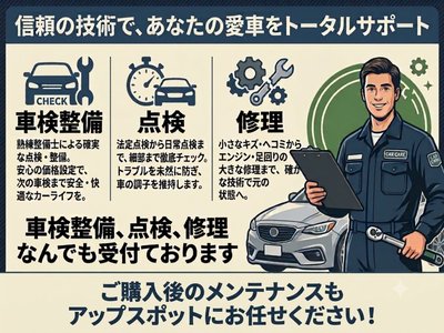 2024 Toyota LAND CRUISER 250 thumbnail 39