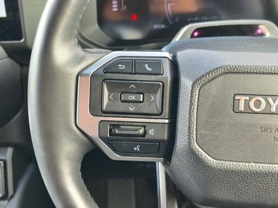 2024 Toyota LAND CRUISER 250 thumbnail 18