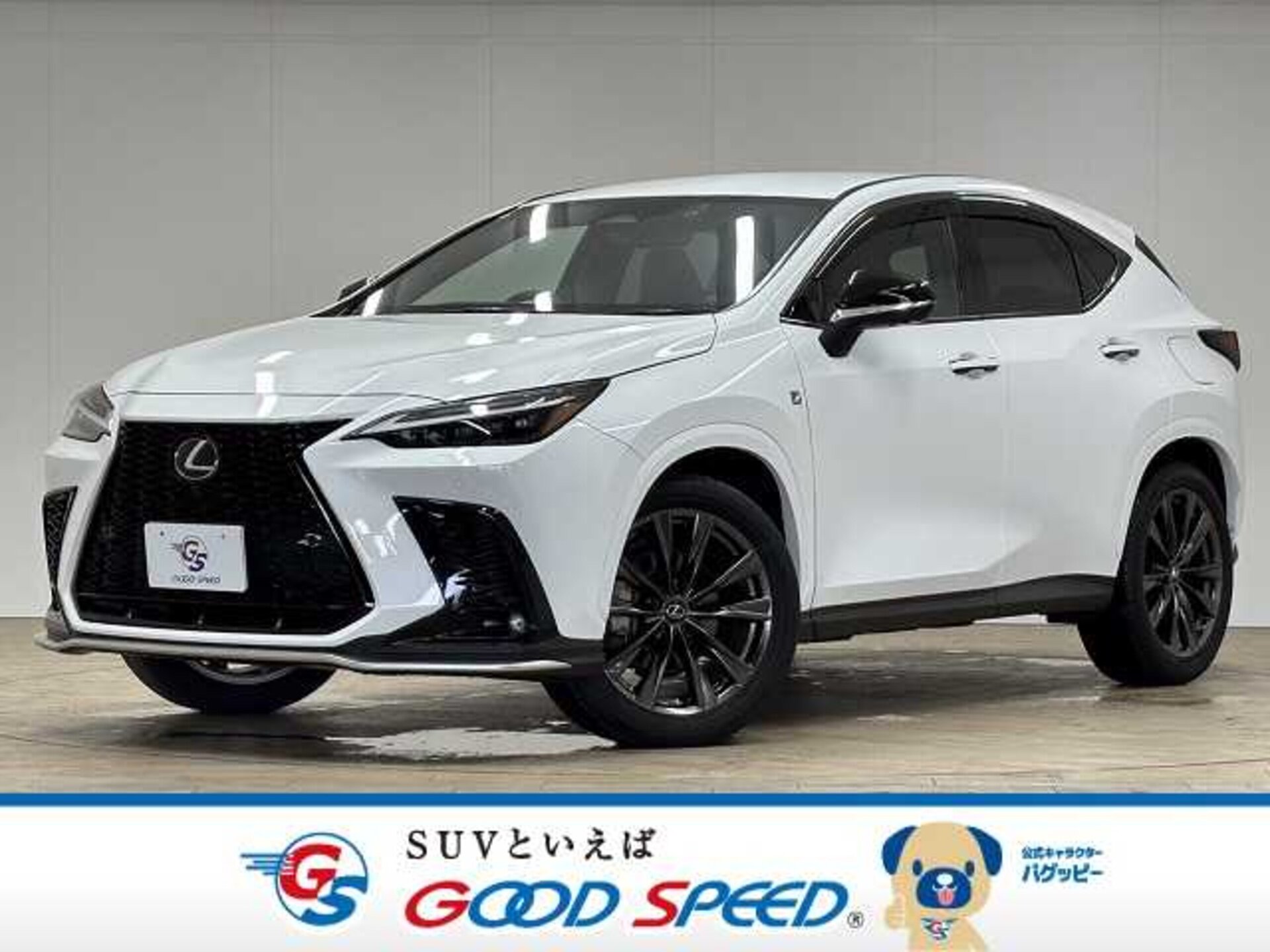 LEXUS NX - View 1