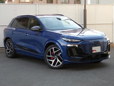 2025 AUDI Q6 E-TRON 缩略图 25