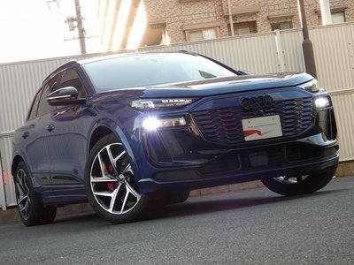 2025 AUDI Q6 E-TRON 缩略图 123