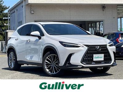 LEXUS NX - 1