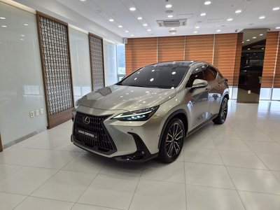 LEXUS NX - 1