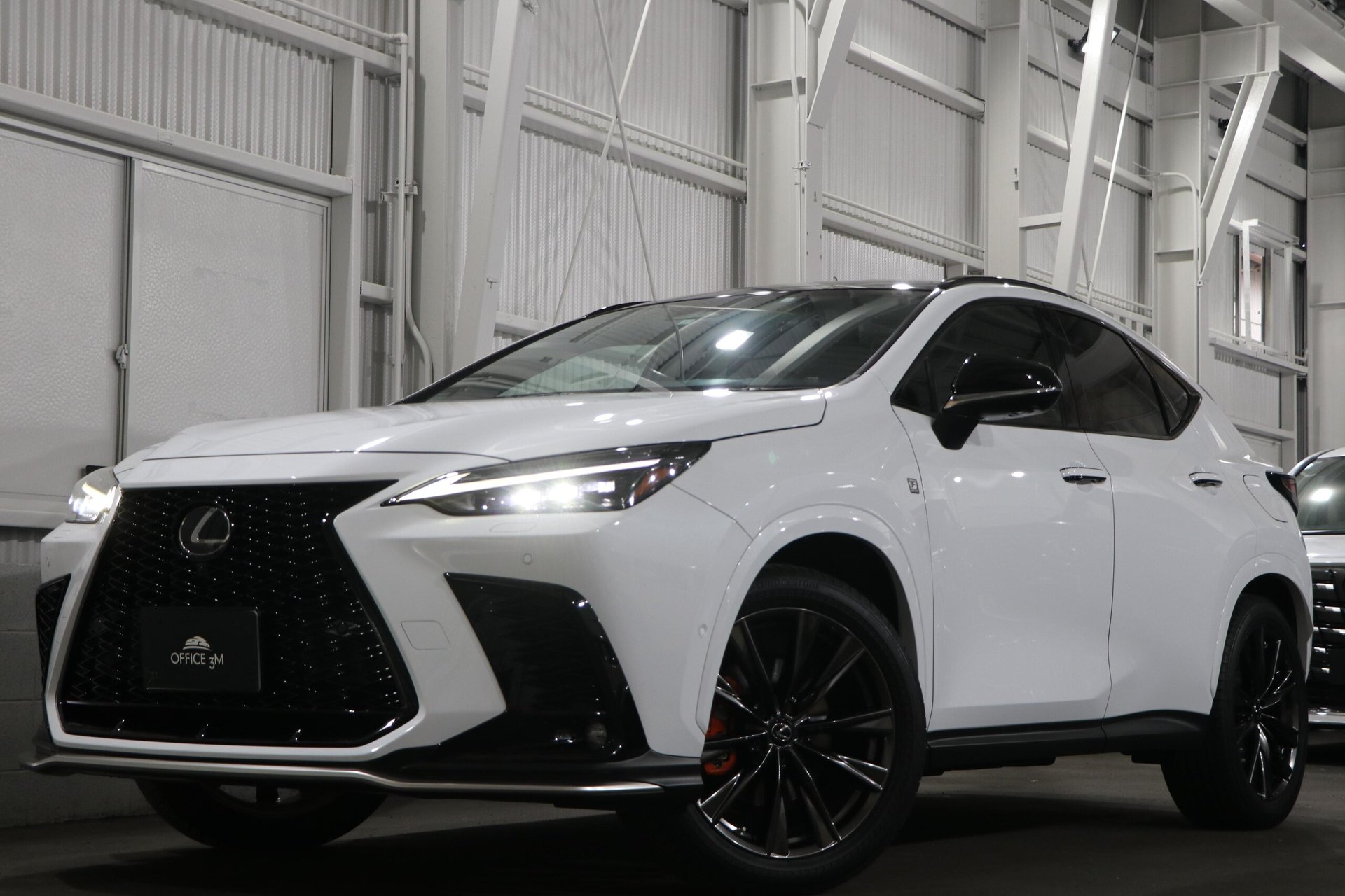 LEXUS NX - View 1