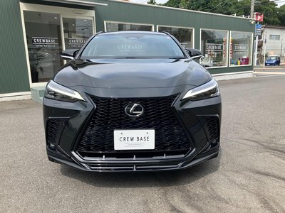 2023 Lexus NX thumbnail 52