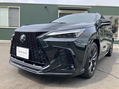 2023 Lexus NX thumbnail 51