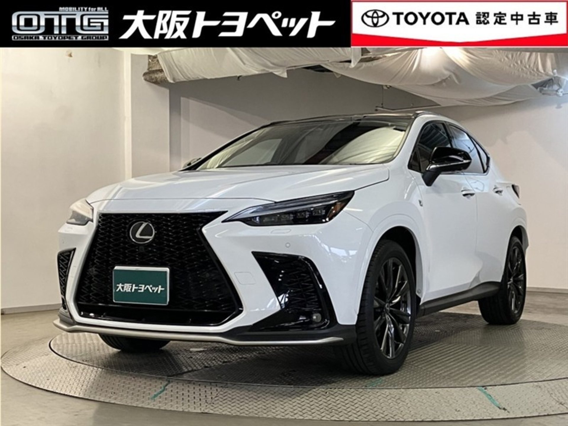 LEXUS NX - View 1