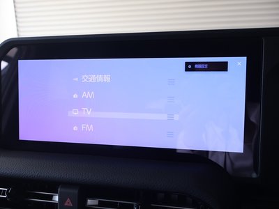 2025 Toyota LAND CRUISER 250 缩略图 13
