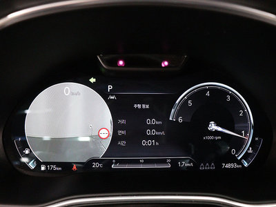 GENESIS GV80 - 8