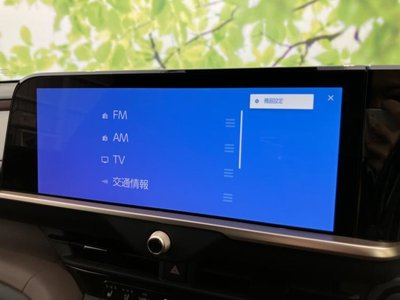 TOYOTA CROWN CROSSOVER - 10