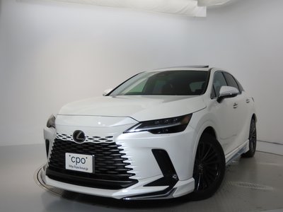 LEXUS RX - 6