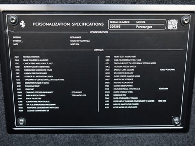 2024 Ferrari PUROSANGUE 缩略图 16