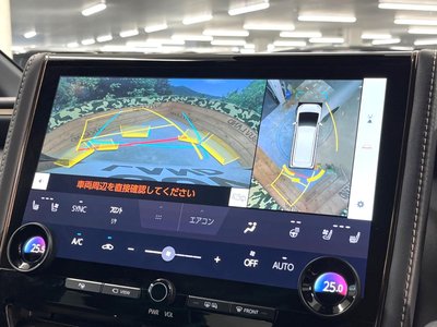 2024 TOYOTA ALPHARD 照片 4