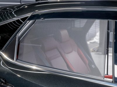 2025 Lexus RX 缩略图 70