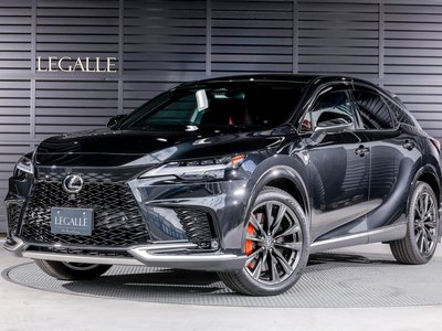 2025 Lexus RX 缩略图 30