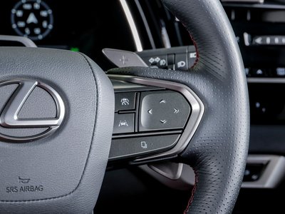 2025 Lexus RX 缩略图 54