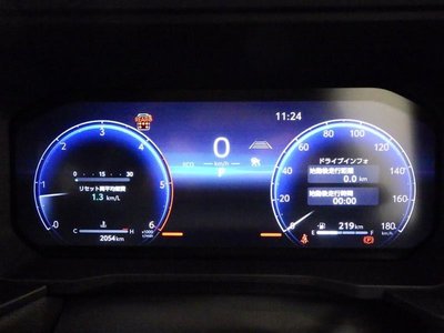 TOYOTA LAND CRUISER 250 - 6