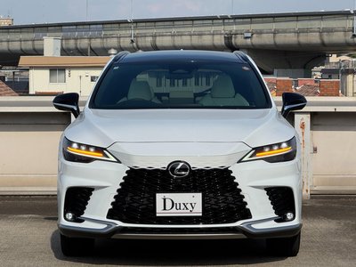2025 Lexus RX — миниатюра 24
