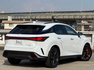 2025 Lexus RX — миниатюра 14