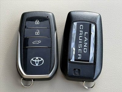 2022 Toyota LAND CRUISER 300 缩略图 34