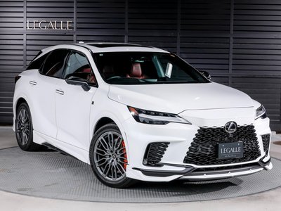 2025 Lexus RX photo 5