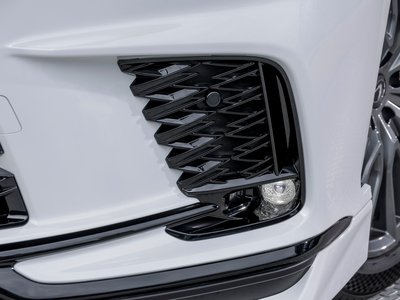 صورة مصغرة 47 لـ 2025 Lexus RX