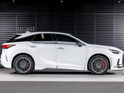 2025 Lexus RX photo 6
