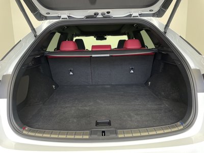صورة مصغرة 43 لـ 2023 Lexus RX