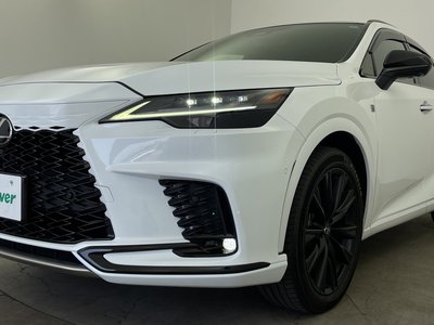صورة مصغرة 40 لـ 2023 Lexus RX