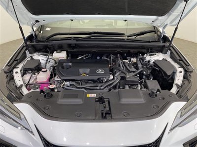 2024 Lexus NX 缩略图 38