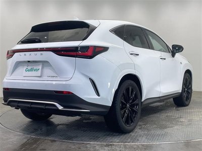 2024 Lexus NX 缩略图 32