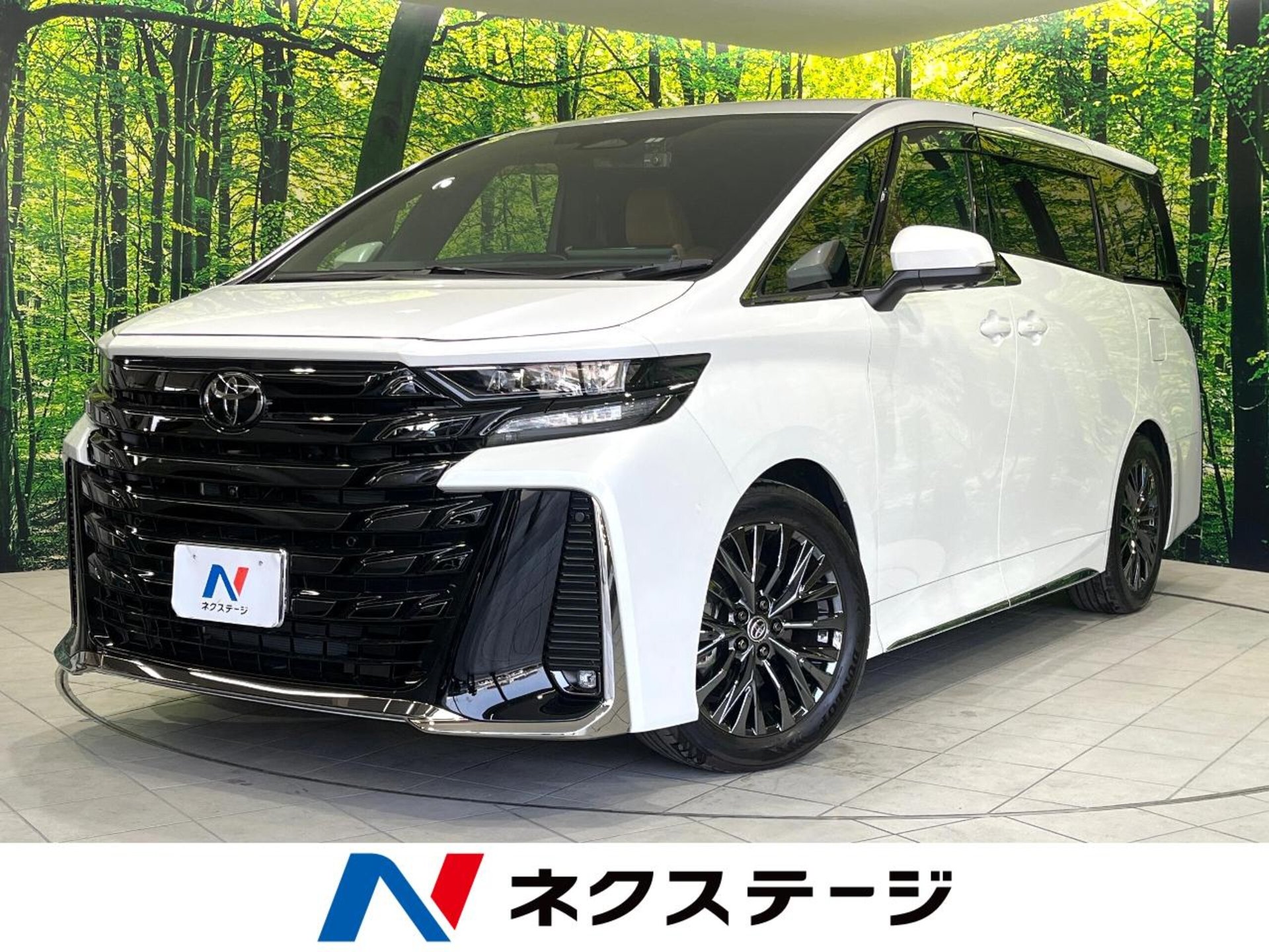 TOYOTA VELLFIRE - View 1