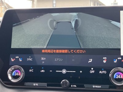 2024 Lexus RX — миниатюра 14