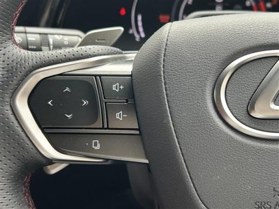 LEXUS RX 2024 thumbnail 20