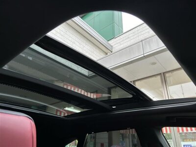 LEXUS RX 2024 thumbnail 31
